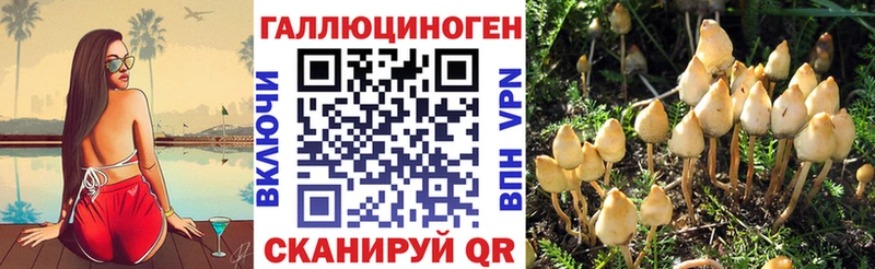 Псилоцибиновые грибы MAGIC MUSHROOMS  как найти закладки  Киржач 